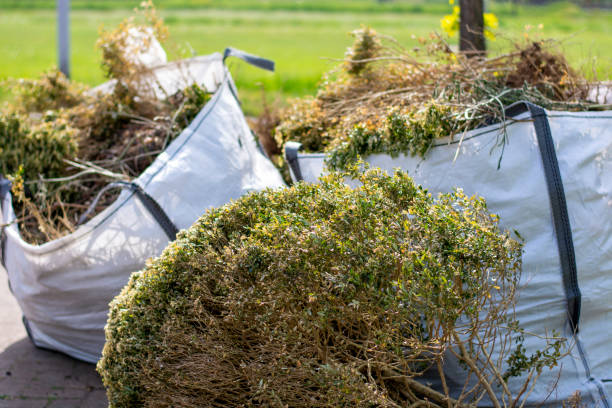 Best Office Junk Removal  in North Oaks, MN
